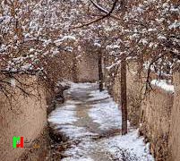 عکس/ چشم‌انداز زیبا شهرستان تفت