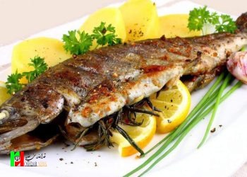 نکات مهم مصرف ماهی