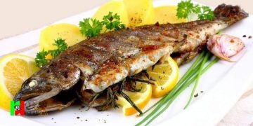 نکات مهم مصرف ماهی