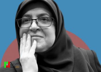 هزینه‌سازی خانم سخنگو با حاشیه‌سازی جدید برای دولت